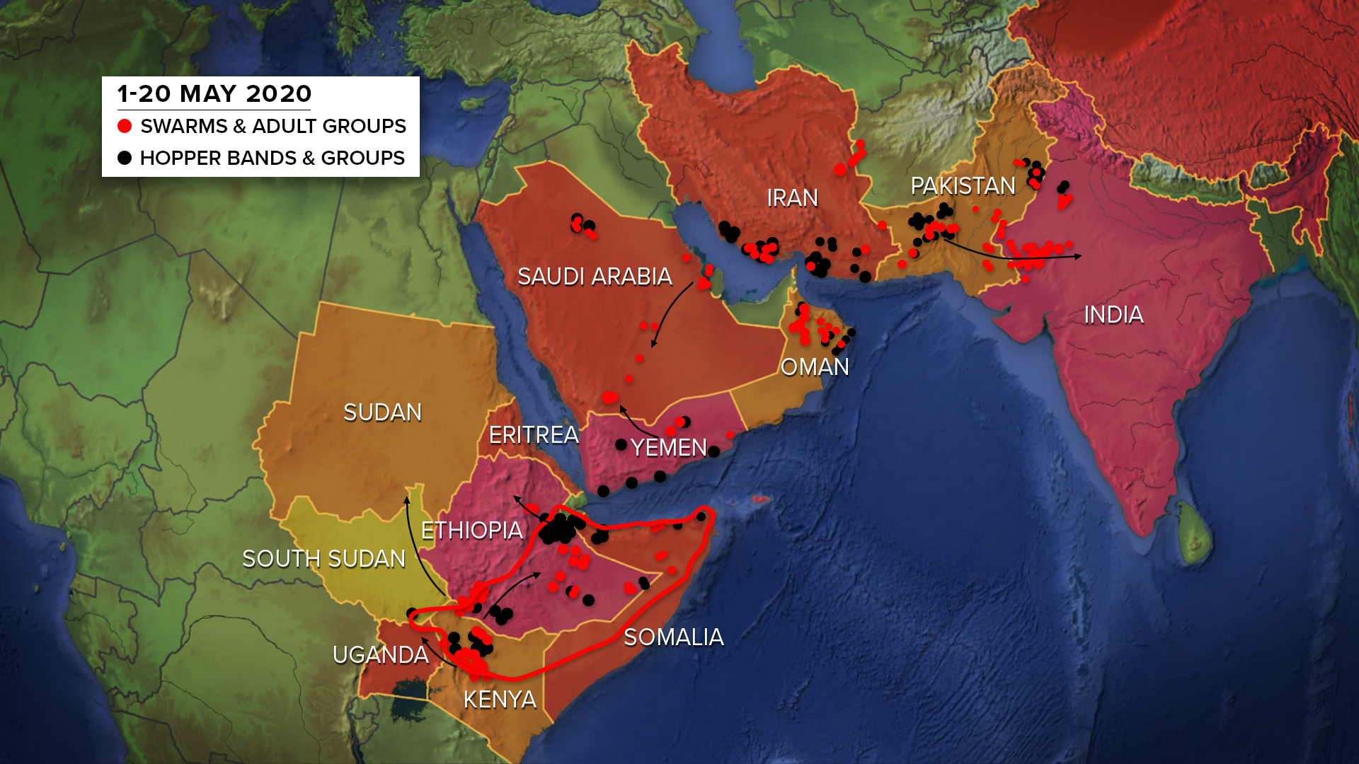 Billions More Desert Locusts Devour Crops from India to Africa, Adding