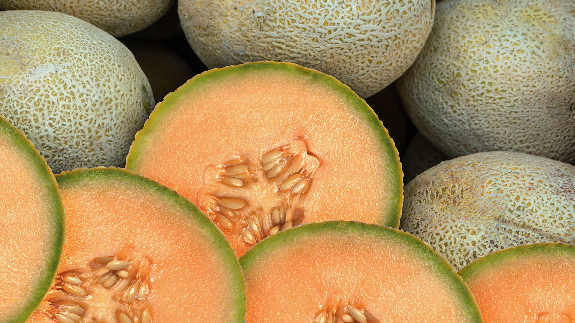 Recall on Cantaloupe After Dozens Infected with Salmonella, Health