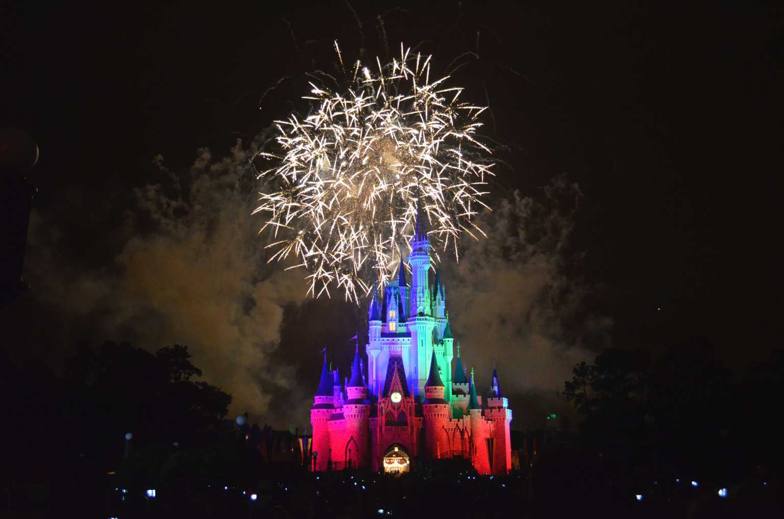 Disney Removes 'Ladies and Gentlemen, Boys and Girls' From Park