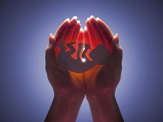 abortion-embryo