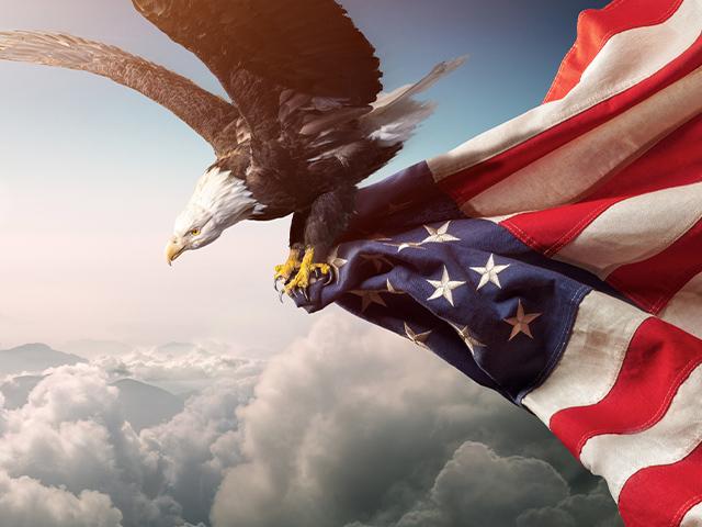 eagle flying with an American flag