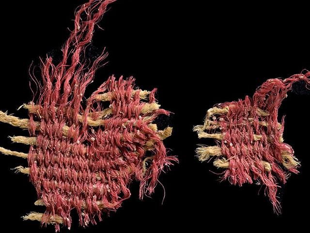 A 3,800-Year-Old Red Textile Dyed with Biblical Scarlet Discovered in the Judean Desert Caves. Photo Credit:  Dafna Gazit, Israel Antiquities Authority.