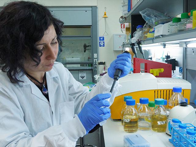Israeli Lab and the Coronavirus Vaccine