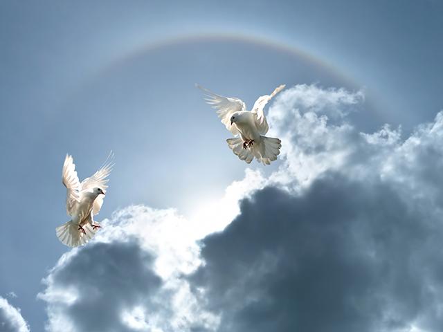 doves-clouds-heaven_si.jpg