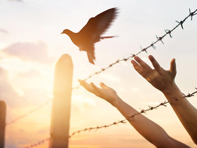 freedom-bird-hands