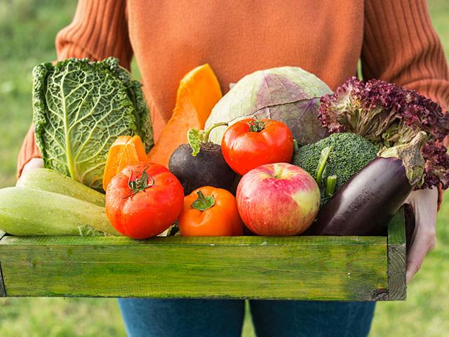 fresh fruits and vegetables