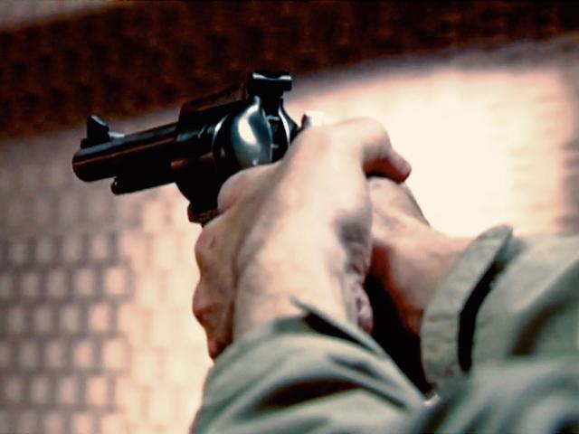 handgun2