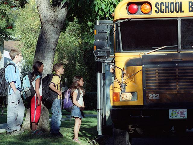 kids-bus-stop