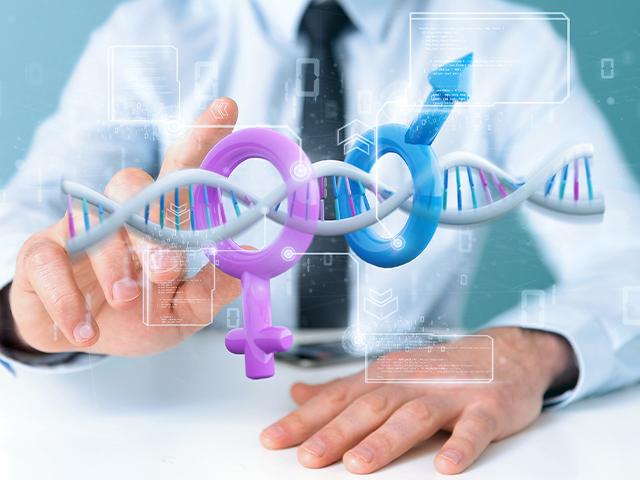 male and female dna determines gender (Adobe stock image)