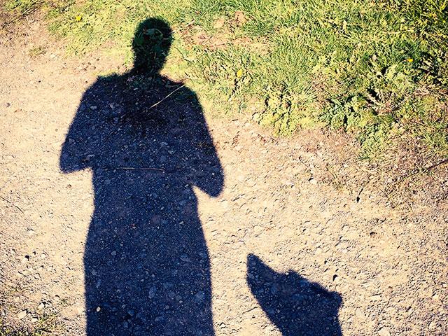mandogshadowsilhouetteas