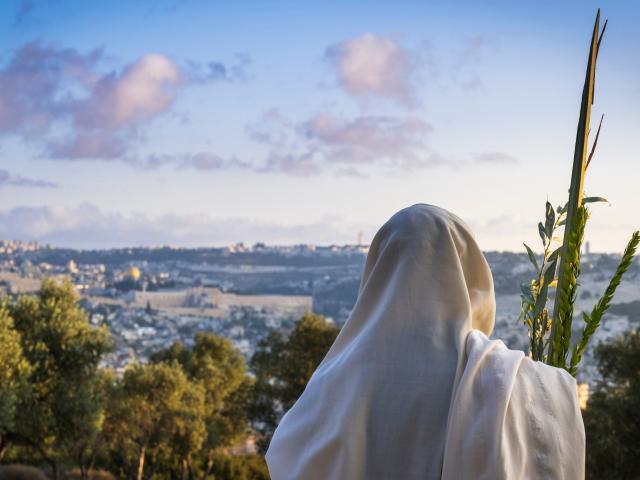 Waving the Lulav during Sukkot