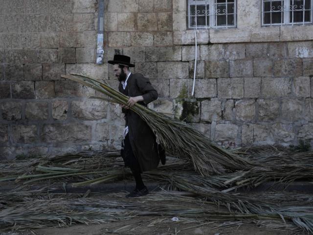 An Ultra-Orthodox Jewish man gathers branches to make a shelter for the holiday of Sukkot, in the Mea Shearim neighborhood in Jerusalem, Wednesday, Oct. 16, 2024. (AP Photo/Mahmoud Illean)