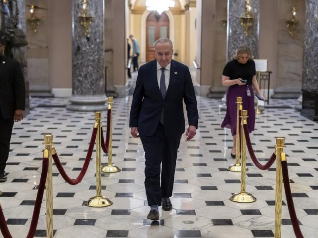 Senate Democratic Leader Chuck Schumer returns after giving a television interview, at the Capitol in Washington, Friday, March 14, 2025. (AP Photo/Ben Curtis)