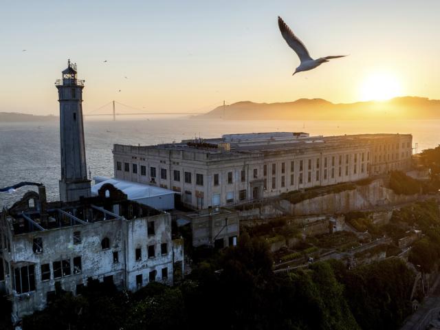 A bird flies above Alcatraz Island on Sunday, May 4, 2025, in the San Francisco Bay, Calif. (AP Photo/Noah Berger)