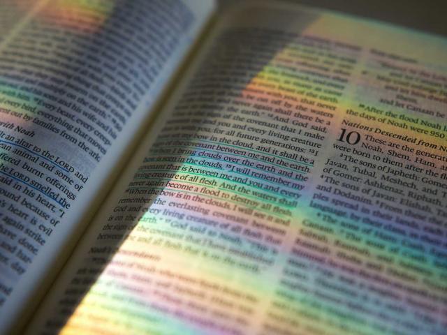 Pages of the Bible