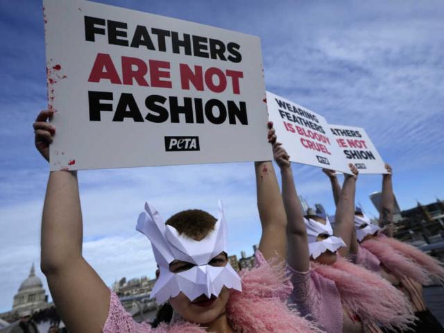 PETA protesters demonstrate against the use of feathers, at London Fashion Week, Feb. 17, 2022. (AP Photo/Alastair Grant)