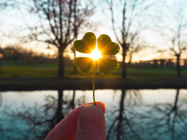 lake-clover-sunshine