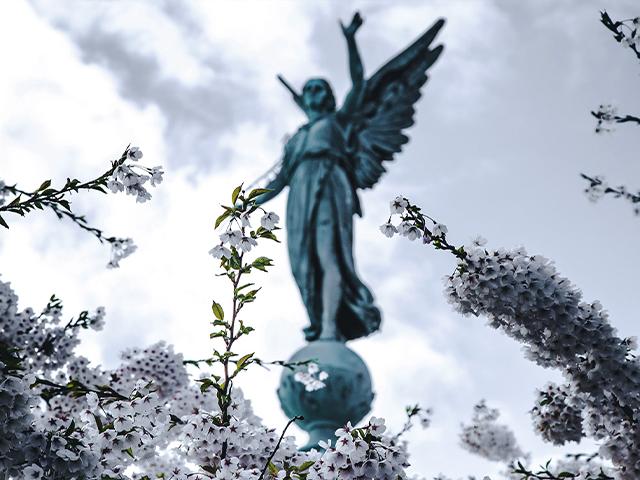 AngelUS