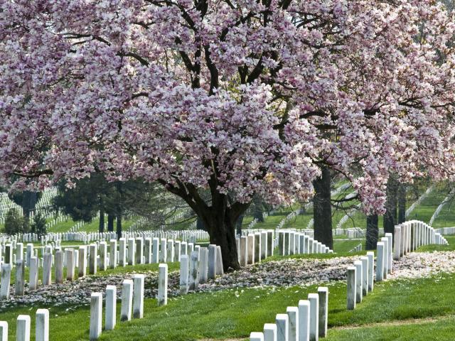 arlington national cemetery