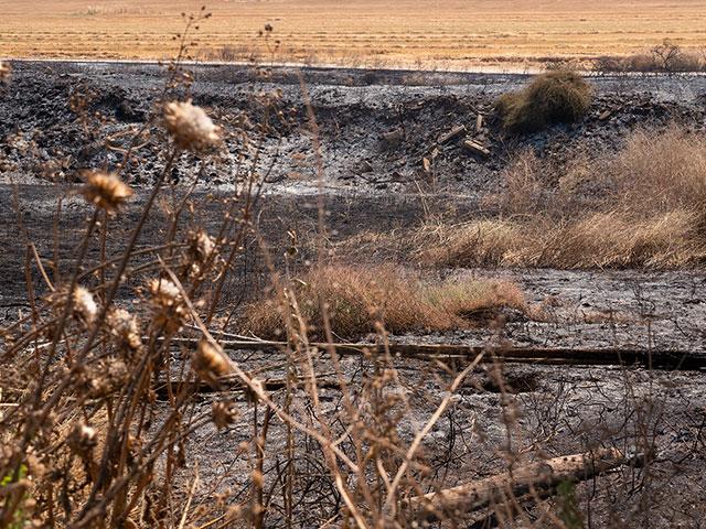 Scorched field at Kibbutz Nir Am, Photo, CBN News, Jonathan Goff