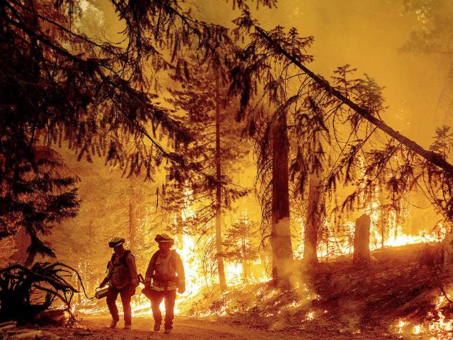 Firefighters fight Dixie Fire near Prattville in Plumas County, Calif. (AP Photo/Noah Berger)