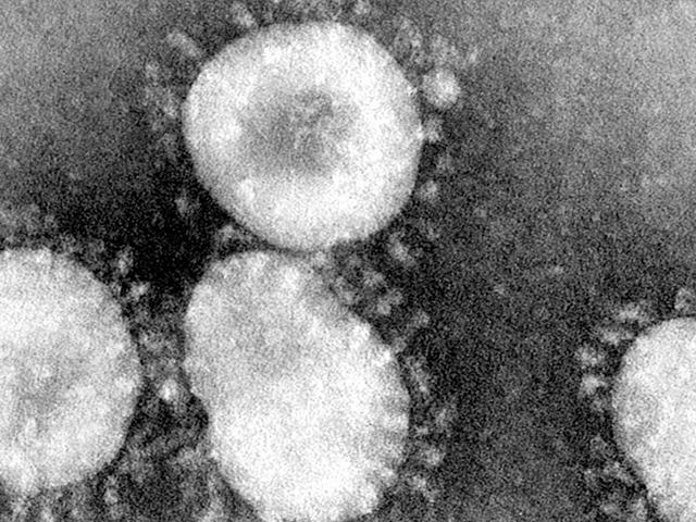 cornoavirus