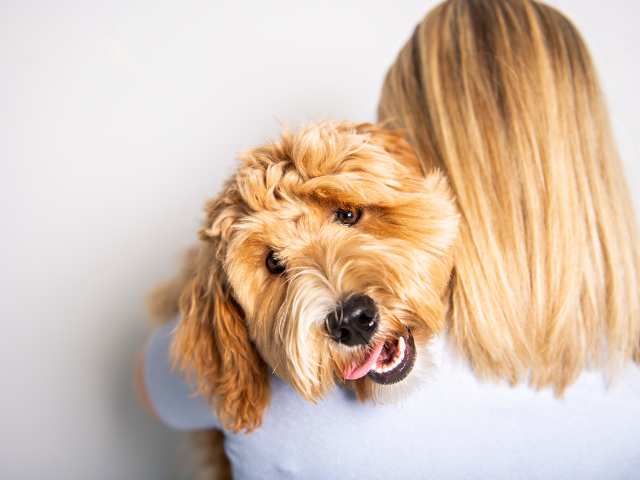 woman carrying adopted dog on her shoulder