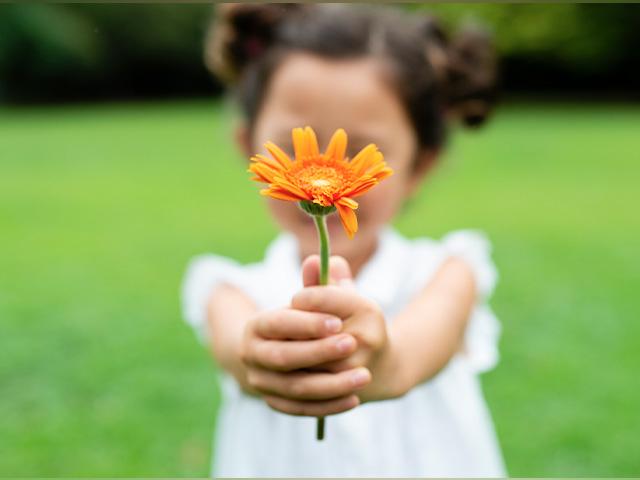 Girl holding daisy flower