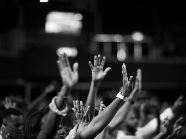 pexels-jibarofoto-2014775.jpg
