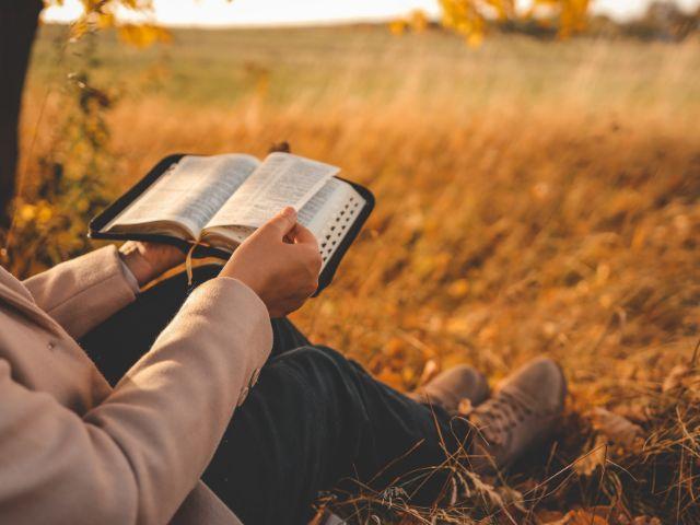 reading the bible in a field