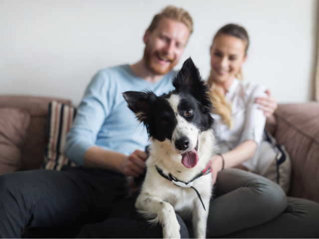 happy dog with a happy couple