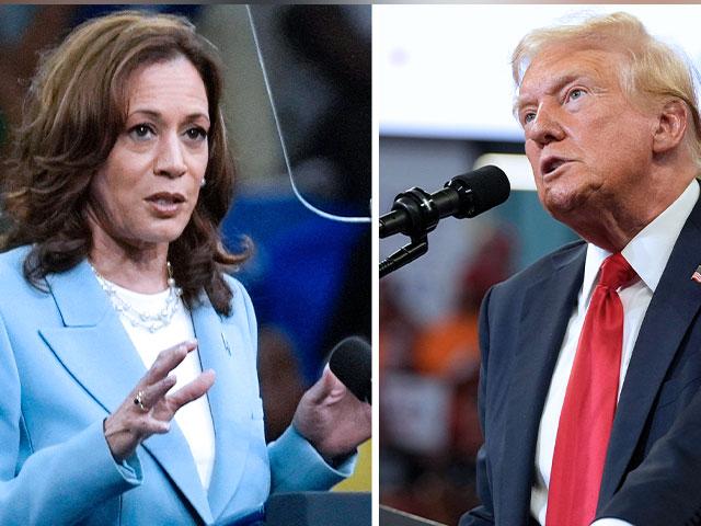 Vice President Kamala Harris and Republican presidential candidate former President Donald Trump. (AP Photo)