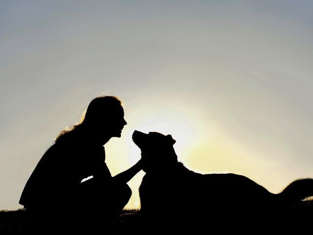 Woman and dog silhouette