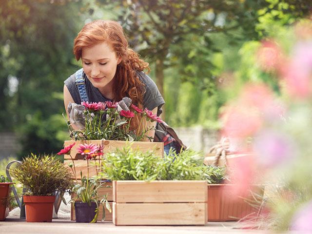 woman tending flowers