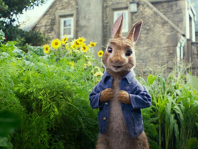 Peter Rabbit movie, Courtesy: Sony Pictures
