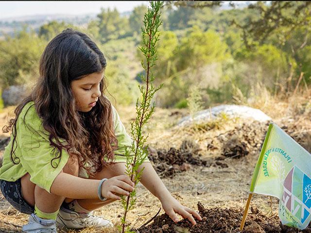 Planting a tree in Israel. Photo Credit: Bonnie Scheinman, KKL-JNF.