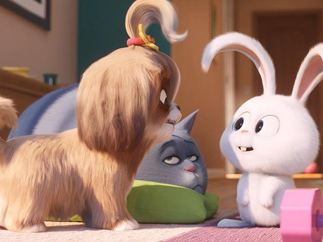 The Secret Life of Pets 2 movie