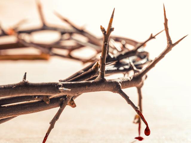 thorns-crown-closeup_si.jpg