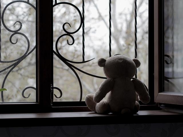 window-teddy-depression_si.jpg