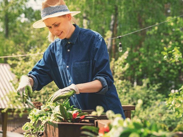 woman planting flowers