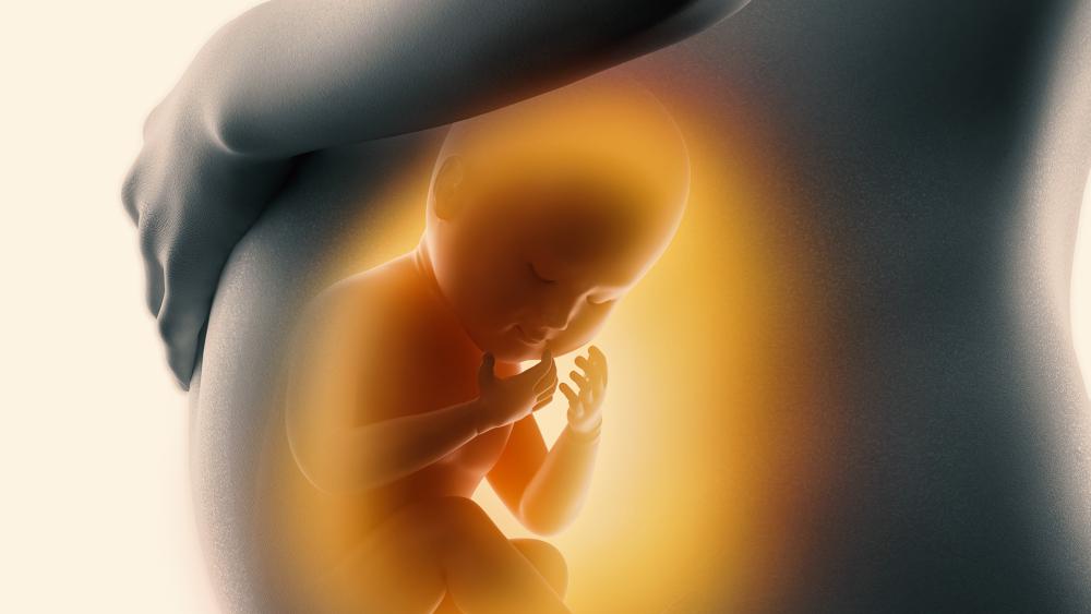 Abortion Laws, Fetus, Baby, Pregnant Woman