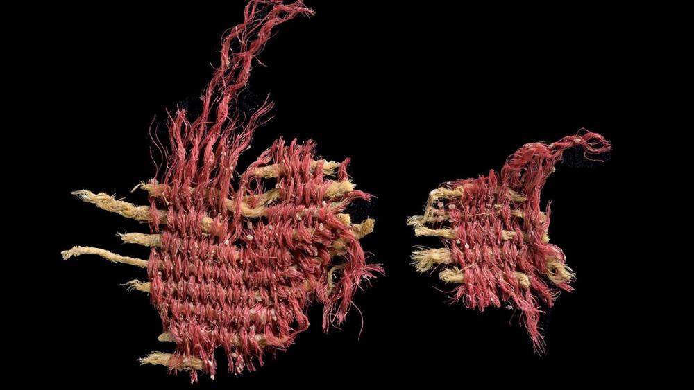 A 3,800-Year-Old Red Textile Dyed with Biblical Scarlet Discovered in the Judean Desert Caves. Photo Credit:  Dafna Gazit, Israel Antiquities Authority.