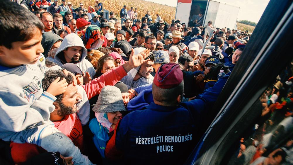 Hungary refugees Hungary refugees