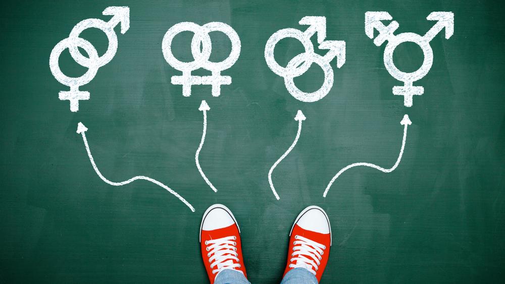 LGBT activism in schools (Adobe stock image)