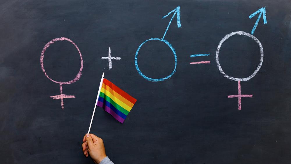 LGBT activism in schools (Adobe stock image)