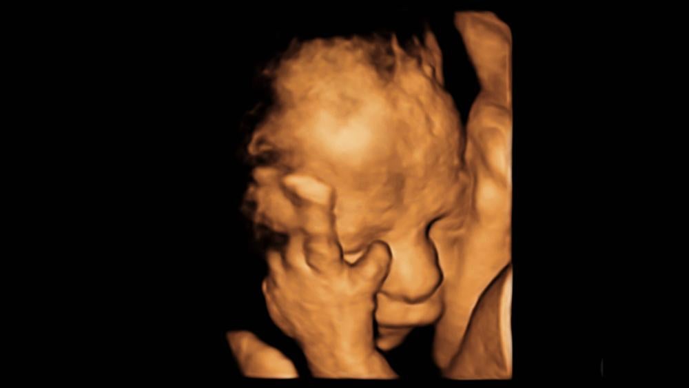 unborn baby (Adobe stock image)