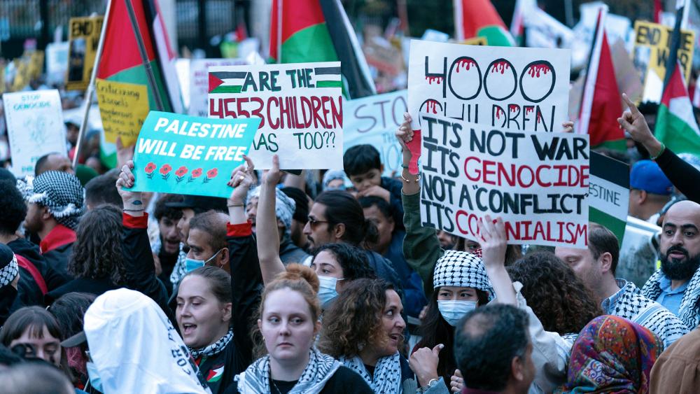 A pro-Palestinian demonstration in Washington, Nov. 4, 2023. ( AP Photo/Jose Luis Magana)