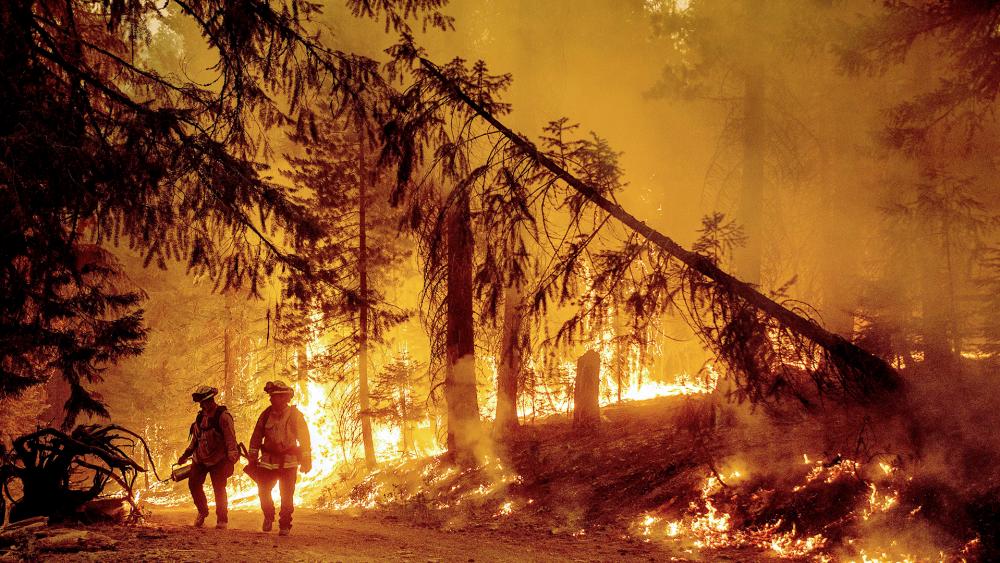 Firefighters fight Dixie Fire near Prattville in Plumas County, Calif. (AP Photo/Noah Berger)