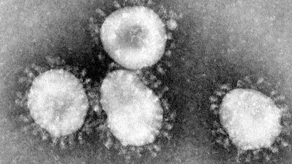 US authorities are investigating scores of possible coronavirus cases
