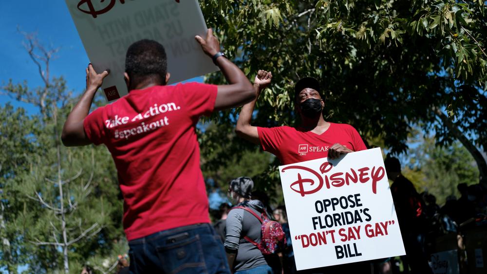 Disney protesters (AP Photo/Jae C. Hong)